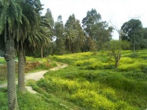 Paysage de Ain Defla