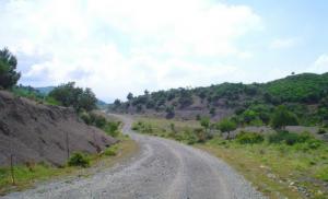 Dhaya vers Tamezguida