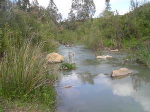 Paysage de Hammam Righa