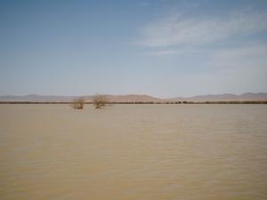Ain Benkhellil Haoudh Daira. Zone humide d'importance internationale selon les critères Ramsar.