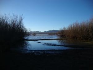 Le Lac de Ain Ben Khelil