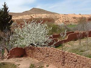 Jardin du Ksar de Sfissifa