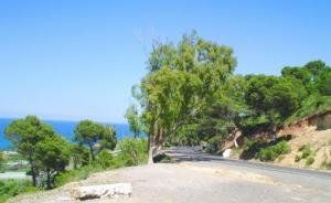 Entre Berar et Sidi Rached