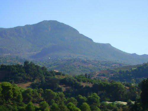 Le Mont Chenoua par le Sud