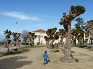 Placette de Cherchell