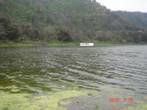 Lac de Dhaya (Wilaya de Ain Defla)