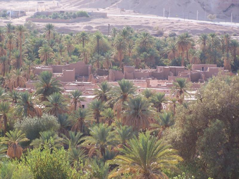 منظر من منطقة 