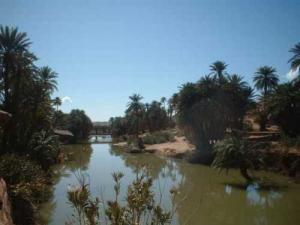 Tiout  Près du Barrage