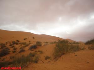 Les Dunes de Ain Sefra