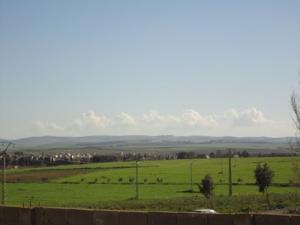 Verdure sur la périphérie de Ain Temouchent