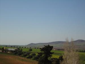 Aux abords de Ain Temouchent