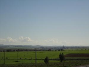 Verdure de Ain Temouchent