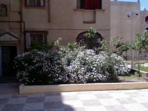 La nouvelle ville Akid Otmane à Ain Temouchent