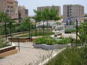 L'étoile du jardin forestier