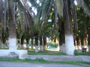 Siga lieu de détente familiale