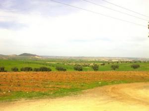 Champs Agricoles à El Maleh