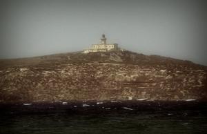 Ile de Rechgoun (Côte de Ain Temouchent)