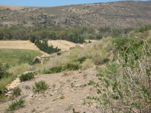 Les Vestiges de Siga