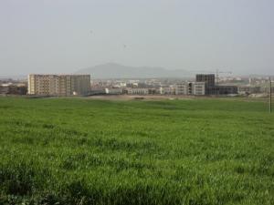 Cité Universitaire de Ain Temouchent