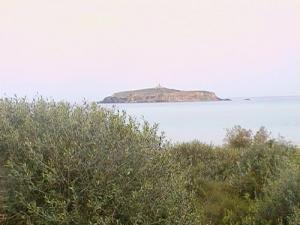 L'île de Rachgoun, connue sous l'appellation «Layella», d'une superficie d'une dizaine d'hectares environ, est située au large de la daïra de Beni Saf