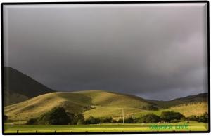 La Beauté d'El Amria au Printemps