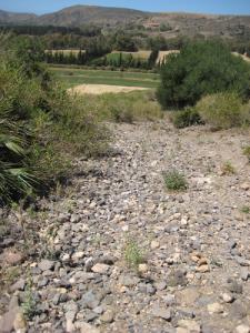 Champs agricoles aux alentours de Siga