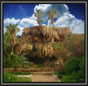 Jardin du  Petit Vichy  (Ain Temouchent)