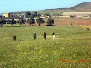 Paysage de Ain Temouchent