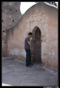 محراب دار السلطان بمدينة  ندرومة