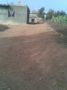 صورة من ضواحي قرية  أولاد شارف