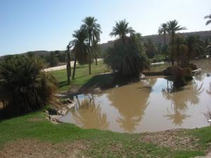 Le Barrage de Ghardaïa
