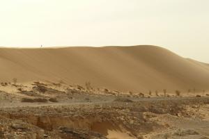 Dune sur le chemin d'El Goléa
