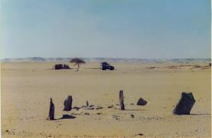 Cimetière préhistorique près d'El Golea