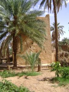 Bordj BAHIYO-ELHADJ AOULAOUAL (COMMUNE D'EL ATTEUF)