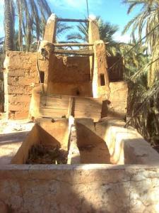 Puits Traditionnel à Aoulaoual (Commune d'El Atteuf)