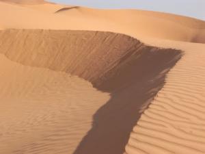 Dunes de Sable