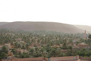 Ghardaïa - la Palmeraie