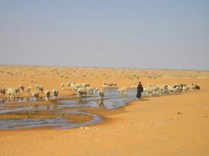 منظر خلاب من وادي  واسيف