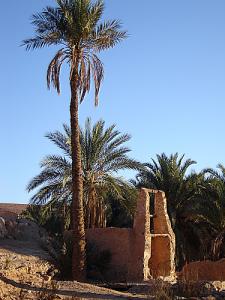 Puits traditionnel au M'Zab