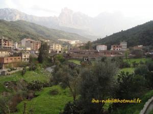 صورة من ضواحي مدينة  واسيف