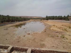 Vue sur Oued Metlili