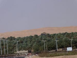 Entrée Nord d'El Golea