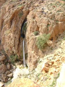 Kefrida de L'atlas Saharien (AMOURA)