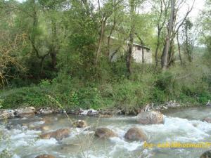 منظر من ضواحي  واسيف  (1)