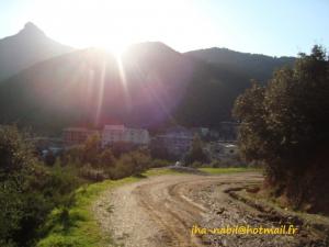 منظر من ضواحي  واسيف  (2)