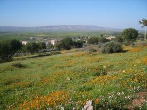 Le Printemps à El-Matmar