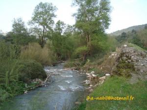 منظر طبيعي بضواحي  واسيف