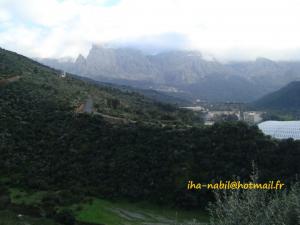 منظر طبيعي بضواحي  واسيف  1