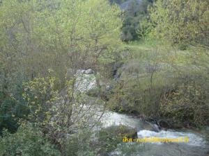 منظر طبيعي بضواحي  واسيف  2