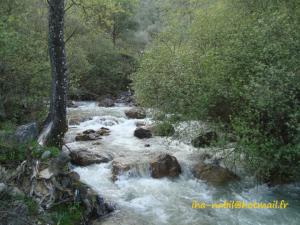 منظر طبيعي بضواحي بلدية  واسيف
